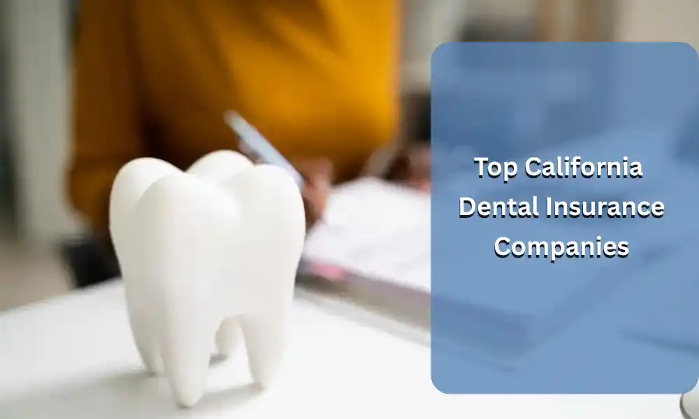 Top California Dental Insurance Companies